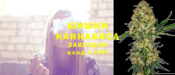 дурь Магас