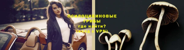 герыч Липки