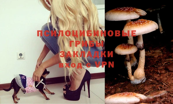 герыч Липки