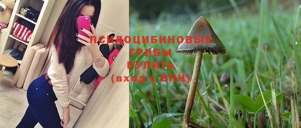 гашик Лихославль