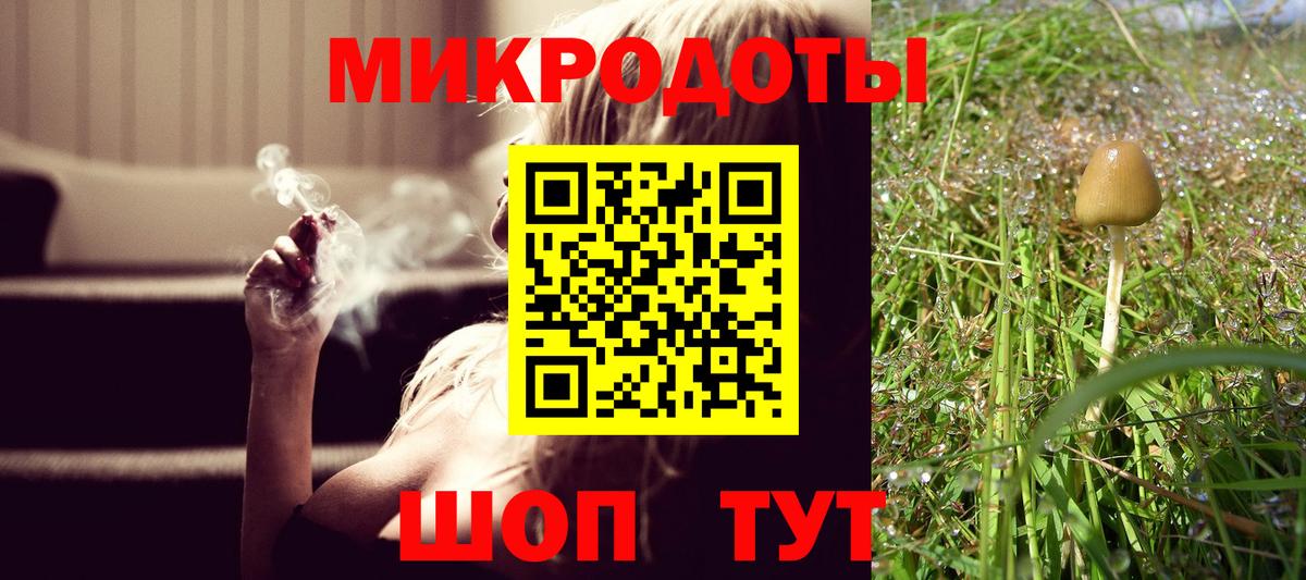 Шебекино  Псилоцибиновые грибы Psilocybine cubensis  Вход с VPN 
