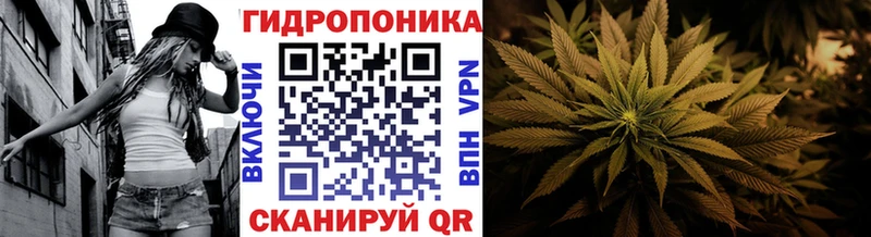 где купить наркоту  Шебекино  Бошки марихуана семена 