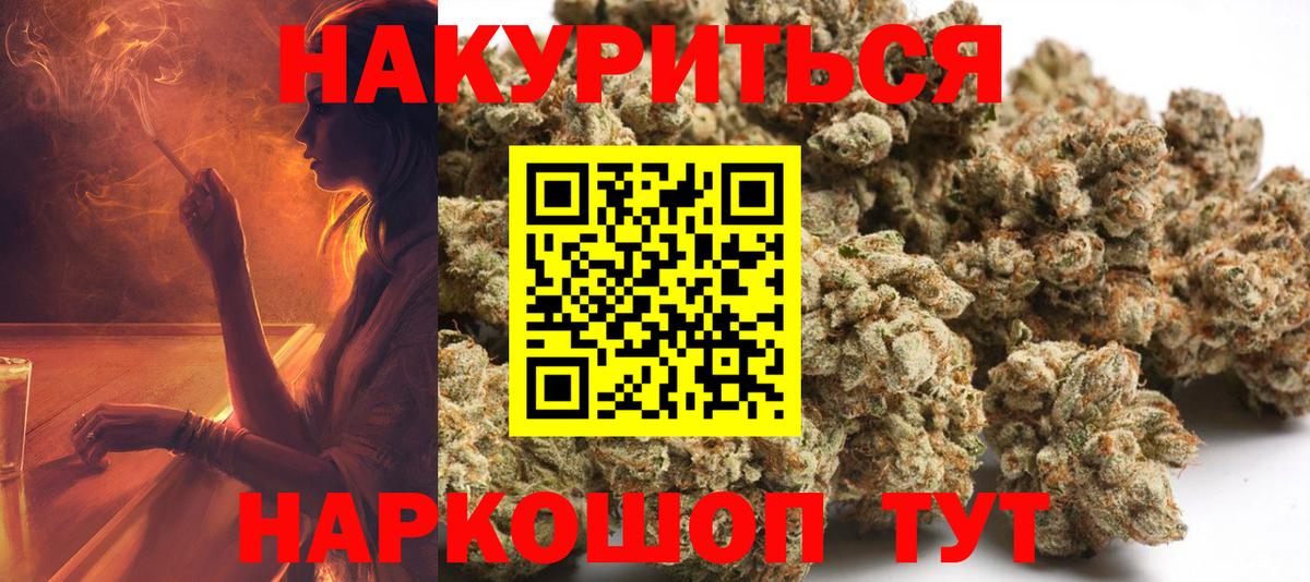 Шишки марихуана конопля  Вход с VPN  Канабис планчик  Конопля White Widow  Шебекино 